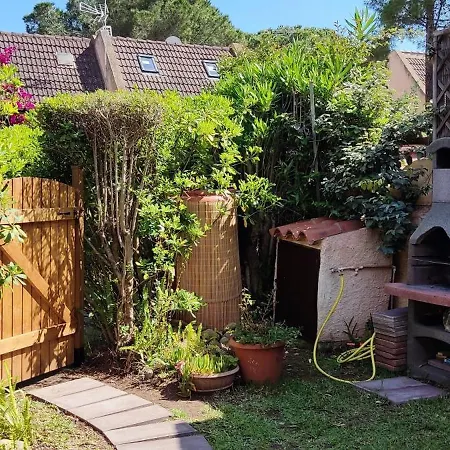 Con Giardino Immersa Nel A 150mt Dal Mare Vakantiehuis