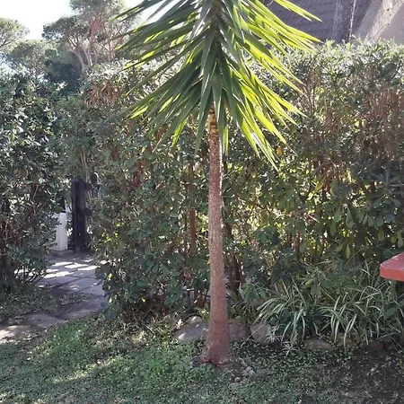 Con Giardino Immersa Nel A 150mt Dal Mare * Pula