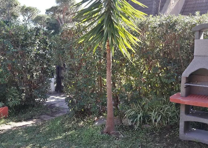 Con Giardino Immersa Nel A 150mt Dal Mare * Пула